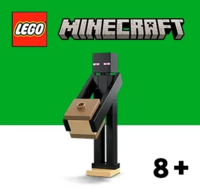 LEGO® Minecraft®