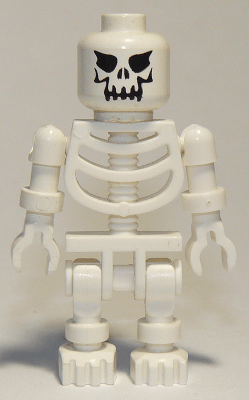 Skeleton